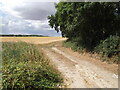 Farm track near Kingthorpe