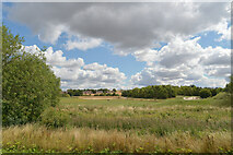 SE3318 : Pugneys Country Park, Wakefield by habiloid