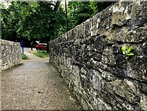 H4772 : Footbridge wall, Mullaghmore / Cranny by Kenneth  Allen