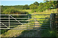 Footpath to Whitman