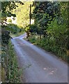 Road on a weak bridge, Cwmyoy, Monmouthshire