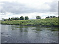 River Tay, Muirton