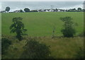 Housing and power lines at the outskirts of Ballymena, seen from a Derry train