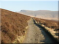 NY2730 : Access track to Skiddaw House by Adrian Taylor