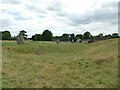 SU1070 : Avebury Henge - ditch and outer bank by Stephen Craven