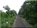 Railway towards Wokingham