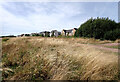 Houses on Curlew View, South Elmsall, seen from Frickley Country Park