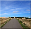 The Timeline, Frickley Country Park