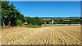 Harvested field next to the M20