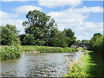 SJ7327 : Bulge in Shropshire Union Canal west of Park Heath Bridge by Trevor Littlewood