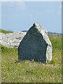 NM1655 : Coll - Totronald - Na Sgialaichean - Standing Stone (Northern) by Rob Farrow