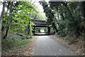 The Great Eastern Linear Park #5 Normanston Drive bridge