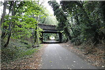 TM5393 : The Great Eastern Linear Park #5 Normanston Drive bridge by Adrian S Pye