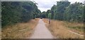 The Greenway just past the Milcote picnic area