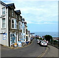 Boat trip notices, Glanmor Terrace, New Quay, Ceredigion