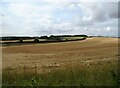 Stubble field off Nateley Road