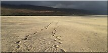 NG0697 : Footprints in the sand at Corran Sheileboist by Sandy Gerrard