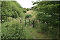 Footbridge over Dour Burn