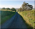 Farm entrance off B825