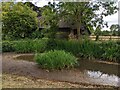 Pond by Forthampton House