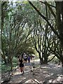 Durlston Country Park parkrunners