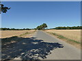 Towards Tuttington on rural Norwich Road