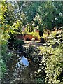 Former mill stream in Wimborne Minster