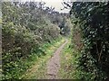 Looking east on the Pengersick bridleway