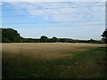 Farmland near Fox Cottage