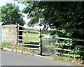 Inspection gate on Dilston Bridge