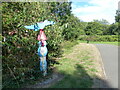 Cycle Route 5 sign at Tessall Lane junction with Rea Valley path, Longbridge