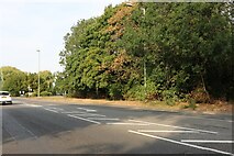 TF4508 : Cromwell Road, Wisbech by David Howard