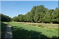 Path beside the River Foss