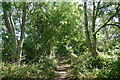 Former track bed of the Woolsthorpe Branch ironstone railway