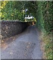 Minor road between wall and hedge, Cwmyoy, Monmouthshire