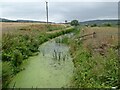 Walton Brook