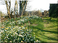 Stone Stile, Alveston