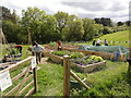 Exeter Community Garden