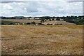 Farmland near Sidbury