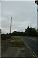 Telegraph pole on Green Dykes Lane