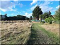 Path through Victoria Park