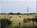 Straw and stubble near Hole