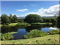 Pond near Great Glen House