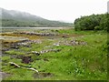 NM6356 : Shore, Loch Teacuis by Richard Webb