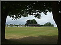 Marshfield cricket ground