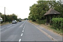 TL3998 : Wisbech Road, Westry by David Howard
