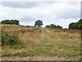 Uphill track across a fallow field