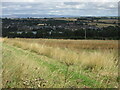 Field above Brechin