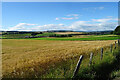 Field of Barley