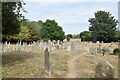 Churchyard, St Bartholomew